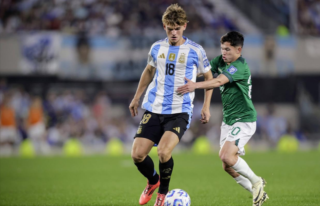 的个体表现 的个体表现