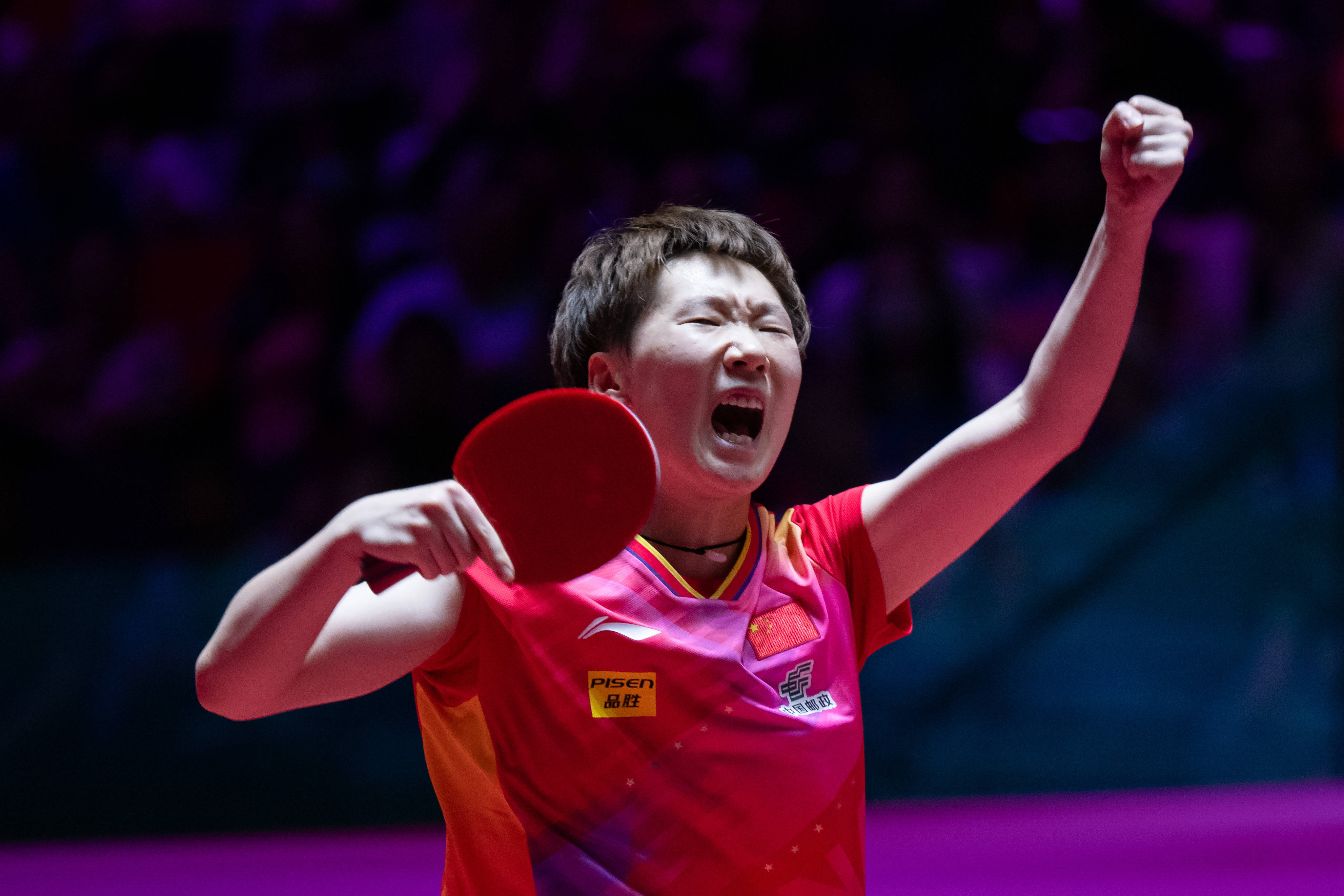 体育明星的 体育明星的