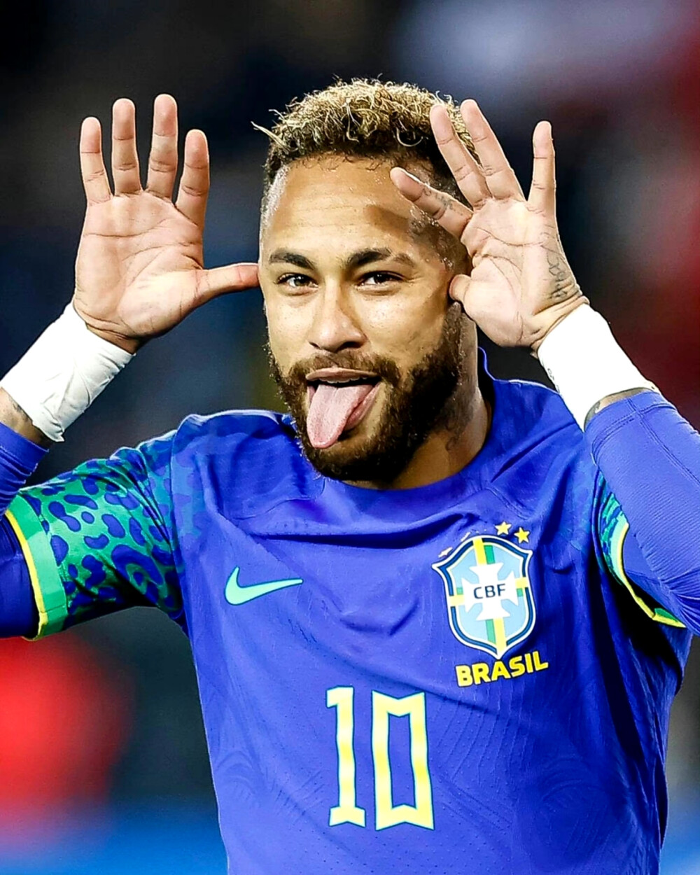 该技术常用 该技术常用